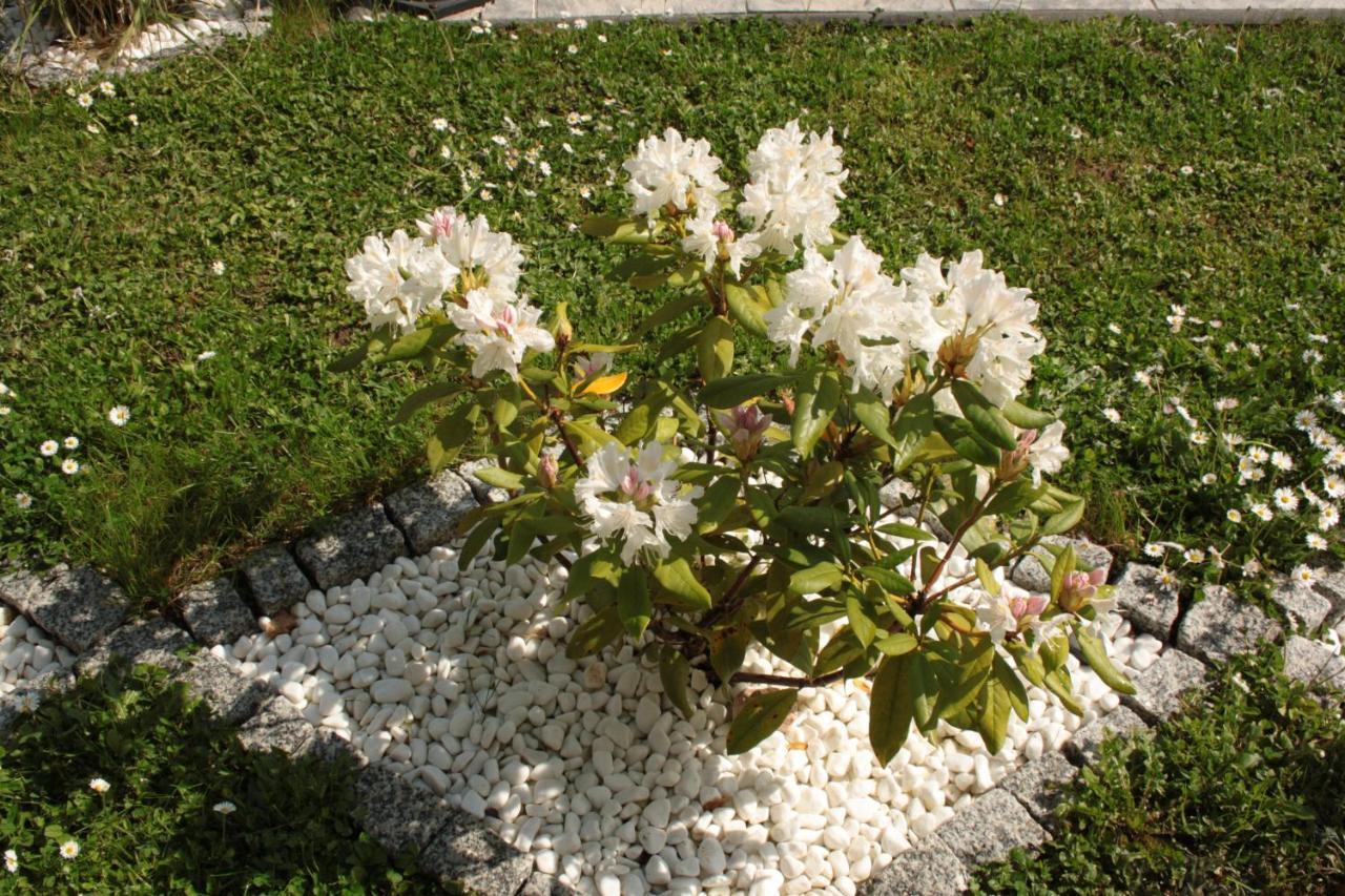 科布倫茨Diamond House Deluxe 6 Koblenz公寓 外观 照片